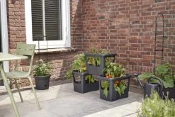 Elho Plantenbak Green Basics Stack & Grow Large Zwart -Buitentuin Winkel elho plantenbak green basics stack grow large zwart 800x534 620e3d4fc59c1 l