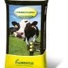 Florentus Koemestkorrel 10kg 1 Florentus Koemestkorrel 10kg -Buitentuin Winkel florentus koemestkorrel 10kg 1583313424 l