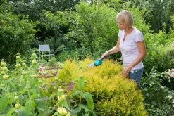 GARDENA Accu Gras- En Buxusschaar Set Accucut Li -Buitentuin Winkel gardena accu gras en buxusschaar set accucut li 1619704816 l