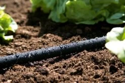 GARDENA Duizenddruppelslang 15m -Buitentuin Winkel gardena duizenddruppelslang 15m 1619704664 1 l