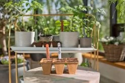 GARDENA FreshCut Set -Buitentuin Winkel gardena freshcut set 1500x1000 640af81aaa70a l