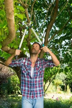 GARDENA Takkenschaar EasyCut 680 B -Buitentuin Winkel gardena takkenschaar easycut 680 b 1000x1500 640af7e944a14 l