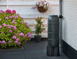 Nature Slimline' Regenton Groen - 100L -Buitentuin Winkel nature slimline regenton groen 100l 1582732977 l