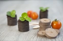 Nature Turftabletten 48st -Buitentuin Winkel nature turftabletten 48st 800x532 6214a01453d91 l