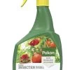 Pokon Bio Tegen Insecten Polysect GYO Spray 800ml 1 Pokon Bio Tegen Insecten Polysect GYO Spray 800ml -Buitentuin Winkel pokon bio tegen insecten spray 800ml 1614005874 l