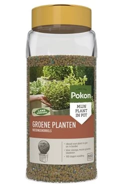 Pokon Groene Planten Voedingskorrels 800g