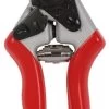 Talen Tools Professionele Snoeischaar Rood -Buitentuin Winkel talen tools professionele snoeischaar rood 308x1000 61d46a4d9bf0c l