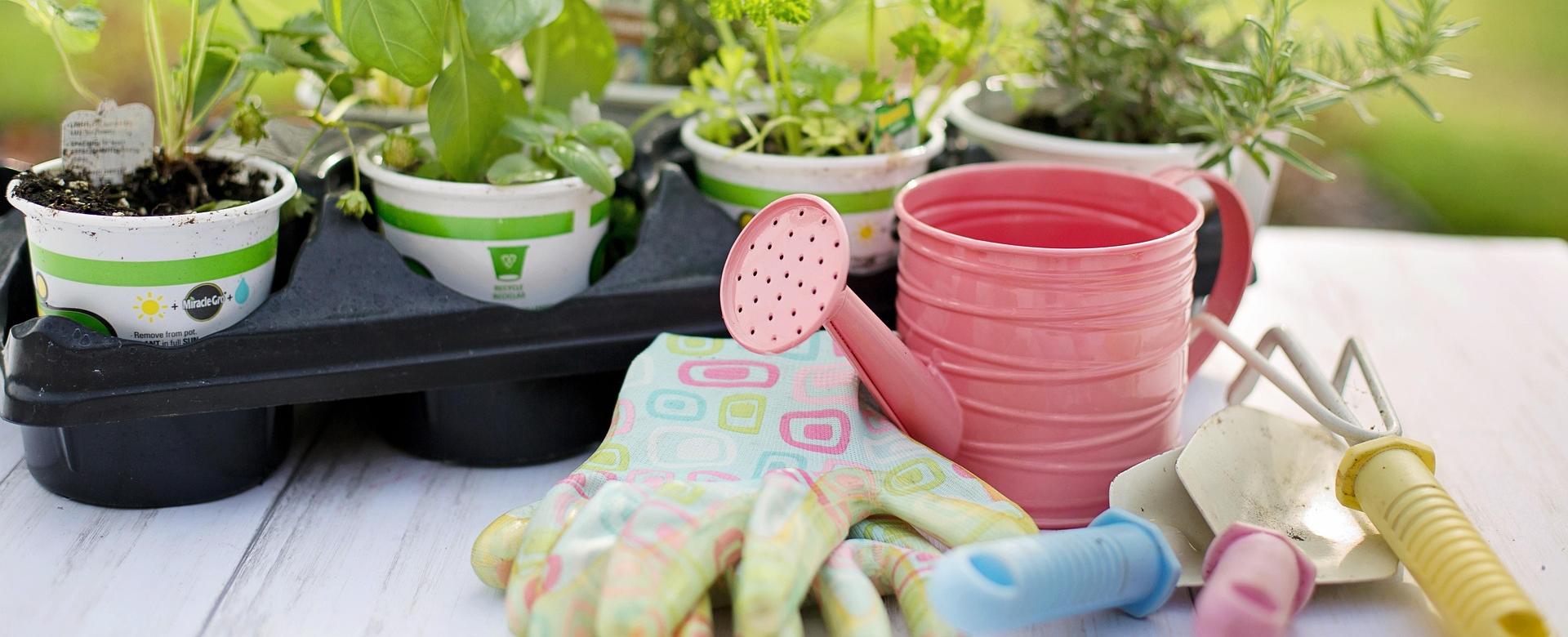 Buitentuin Winkel -Buitentuin Winkel planting 4226838 1920